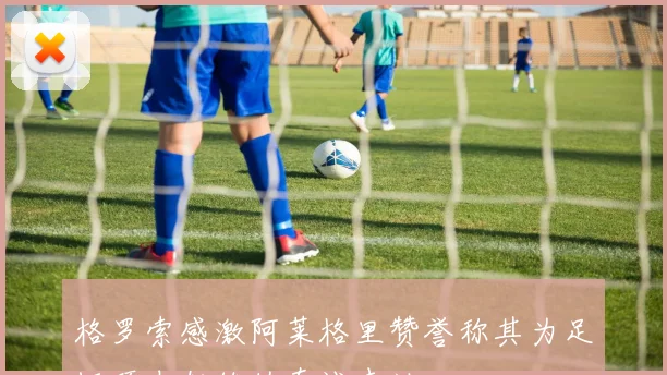 格罗索感激阿莱格里赞誉称其为足坛顶尖教练的真诚表达